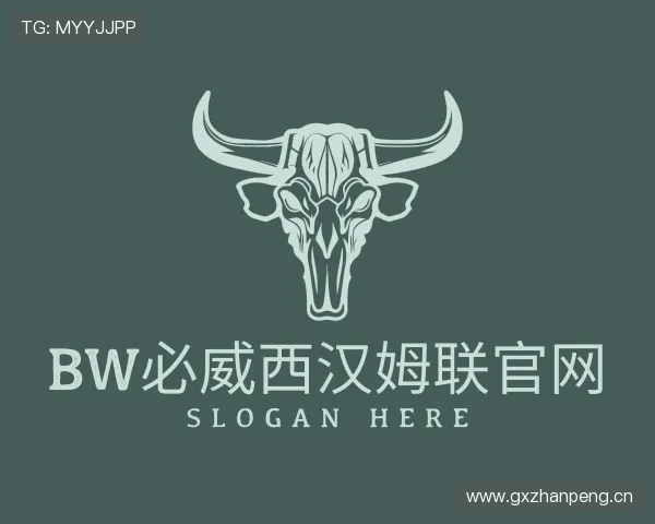 关于bw必威西汉姆